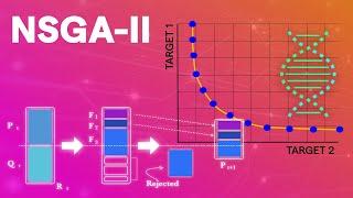 NSGA-II Optimization: Understand fast how it works [complete explanation]