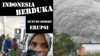 Dahsyatnya dampak erupsi gunung semeru