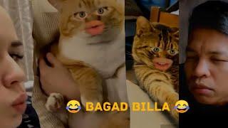 Bagad Billa Best Comedy Video \\ Bagad billa video \\ #bagadbilla #comedy