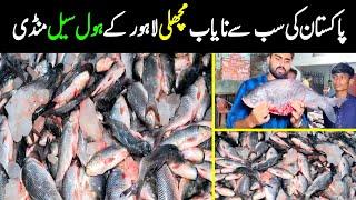 biggest fish market in Lahore | fish wholesale market in Pakistan | rahu fish price in Lahore