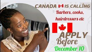 Apply before 10 December 2024 Alberta Advantage Immigration Program!! Canada  is calling ️ apply