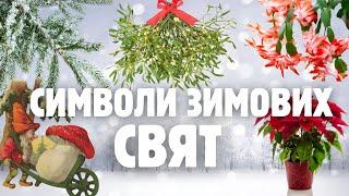 Які рослини, тварини та гриби пов'язані з зимовими святами. Омела, мухомор, пуансетія.