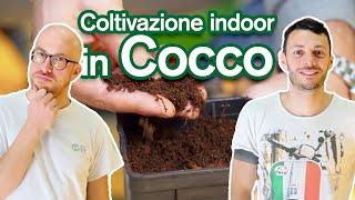 Coltivare in Cocco Indoor - Vantaggi/Svantaggi di questo substrato guida by Garden West