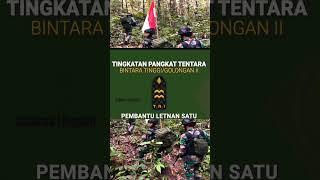 Pangkat/Gol Bintara TNI AD#tniad #secaba #rekrutmentni #bintara