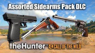 theHunter: Call of the Wild - Assorted Sidearms Pack DLC Review