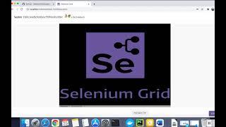 How to run Selenium - 4 with Docker and view execution using VNC