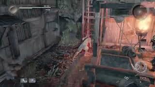 Nioh Naked Diaper Samurai (challenge run)