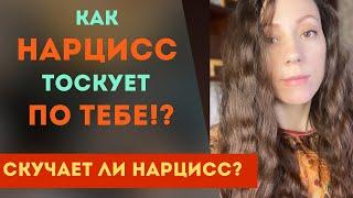 ТОСКУЕТ ли НАРЦИСС по тебе? Нарцисс скучает после расставания!?