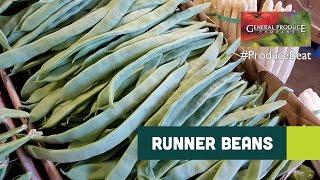 Runner Beans (Mann’s Tenderbite™ Green Beans) | Produce Beat