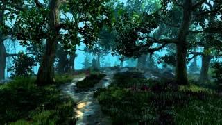 The Witcher 3: Wild Hunt - Velen Nature Theme Extended - Unofficial Soundtrack
