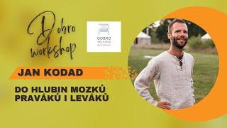 Do hlubin mozků praváků i leváků | Jan Kodad | DOBROakademie.cz