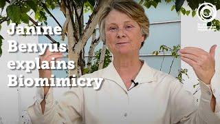 Janine Benyus explains Biomimicry