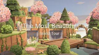 The Most BEAUTIFUL Island I've seen ~ Animal Crossing New Horizons
