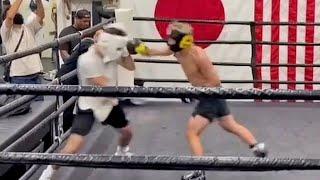 MONSTER SPARRING - NAOYA INOUE LANDING EXPLOSIVE PUNCHES SPARRING AT WILD CARD | 井上尚弥スパーリング