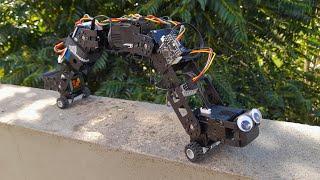 Inchworm-inspired robot
