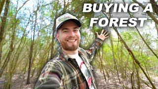 I Bought A Degraded Forest In Texas... Here's Why