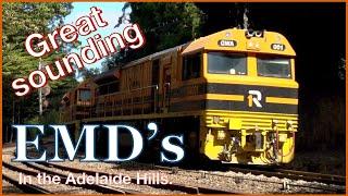 Grain trains with great sounding EMD's , at Mt Lofty.