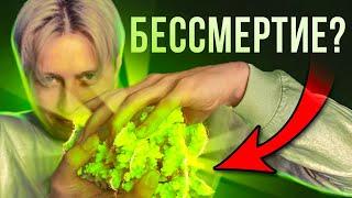 Это СУЩЕСТВО бессмертно! Раскрыл тайну бессмертия гидры