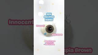 Softlens EXOTICON - Innocent Sepia Brown (NEW BIG EYES SERIES)