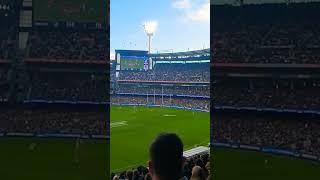 The breathtaking moment at MCG (Melbourne Cricket Ground) #shorts #afl #sports #Melbourne