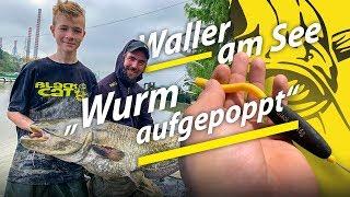 Auf Wels am See und Teich | Tauwurm-Pop Up Montage | Wallerangeln in Deutschland