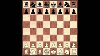 Основы шахматной игры. Часть 1 - Основы дебюта