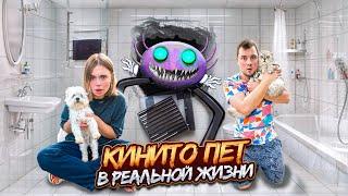 КИНИТО ПЕТ В РЕАЛЬНОЙ ЖИЗНИ | 24 ЧАСА В ВАННОЙ С КОТОМ И СОБАКОЙ