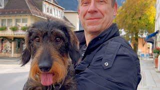 Dachshund Teddy takes a spontaneous bath in Oberammergau  #TeddyTheDachshund