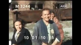 Витебск в цвете, первые дни августа 1941 г.