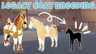 Breeding Legacy Coats and Getting ADORABLE Outcomes! | Wild Horse Islands