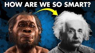 The Human Intelligence - Every Theory Explained