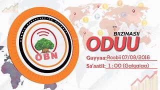 OBN Oduu Bizinasii  Roobii Galgala 07/09/2016