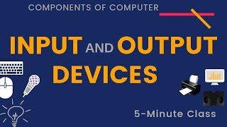 Input and Output Devices