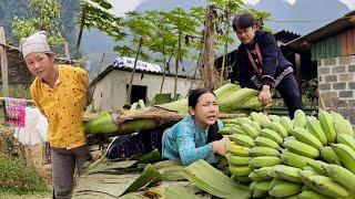 17 year old girl harvests green bananas to ripen and sell - Mai strict mother