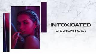 FREE | Always Never x Darci Type Beat "Intoxicated"