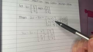 Vector Addition and Scalar Multiplication