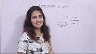 Encapsulation in Python | Getters & Setters methods | Python Tutorials for Beginners #lec101