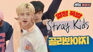 [골라봐야지][HD/ENG] 갓 한 살 된 '스트레이 키즈(Stray Kids)'의 열정 폭발 모음ZIP #아이돌룸 #JTBC봐야지