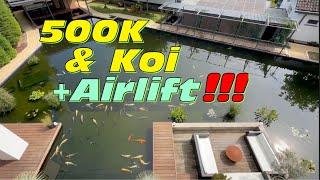 Martin‘s 500000 Liter Koi Teich mit über 500 Koi, betrieben mit Lufthebern und Zysternen!