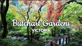 4K Relaxing Walk through the Butchart Gardens on a Rainy Day | Victoria | British Columbia | Canada