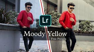 Learn Moody Yellow Lightroom Editing  || Free Preset' DNG || Ajay Creation Lr