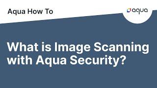 What is Image Scanning with Aqua?