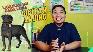 Pertolongan Pertama Pada Luka Gigitan Anjing