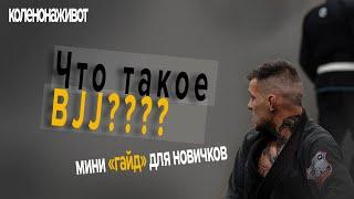 Что такое Бразильское Джиу-Джитсу/Brazilian jiu-jitsu?