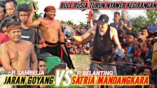 Heboh !! Bule Rusia Nyawer Kegirangan ~ Sambelia vs Belanting | Peresean Lombok || presean Sambelia