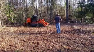 Carlton Stump Grinder