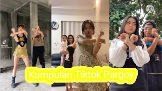 Kumpulan Tiktok - Goyang Pargoy (Random Video) Terbaru 2021