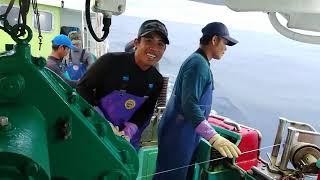 CARA KERJA KAPAL LONGLINE JEPANG - HAULING / AGENAWA- MAGUROSEN - KAPAL JEPANG