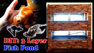 DIY: 3 Layer Fish Pond / Goldfish, King Mollies and Metal Black Lace Guppies