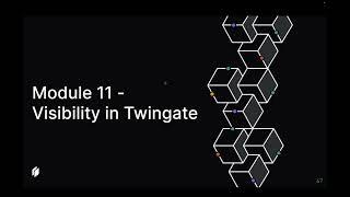 Getting Started 11 | Visibility in Twingate